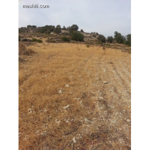 <a href='https://www.spitilemesos.com/view-property/en/2291__land__plot_for_sale/'>View Property</a>