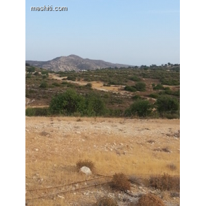 <a href='https://www.spitilemesos.com/view-property/en/2291_central_zone_a_below_motorway-up_makarios_ave._-_from_germasogeia_up_to_polemidia_districts_land__plot_for_sale/'>View Property</a>