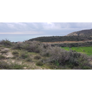<a href='https://www.spitilemesos.com/view-property/en/3213_central-one__up_motorwayfrom_polemidia_to_germasogeia_land__plot_for_sale/'>View Property</a>