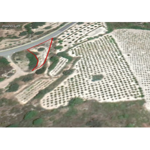<a href='https://www.spitilemesos.com/view-property/en/2245__land__plot_for_sale/'>View Property</a>