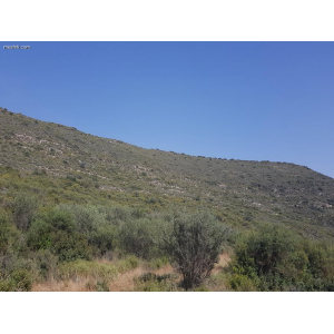 <a href='https://www.spitilemesos.com/view-property/en/3441__land__plot_for_sale/'>View Property</a>