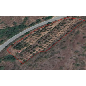<a href='https://www.spitilemesos.com/view-property/en/1725__land__plot_for_sale/'>View Property</a>