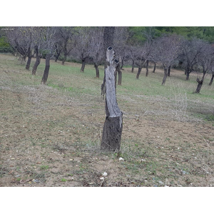 <a href='https://www.spitilemesos.com/view-property/en/3751_central_zone_a_below_motorway-up_makarios_ave._-_from_germasogeia_up_to_polemidia_districts_land__plot_for_sale/'>View Property</a>