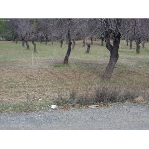 <a href='https://www.spitilemesos.com/view-property/en/3751__land__plot_for_sale/'>View Property</a>