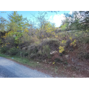 <a href='https://www.spitilemesos.com/view-property/en/4787__land__plot_for_sale/'>View Property</a>