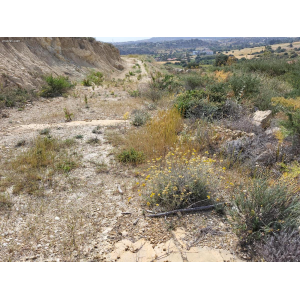 <a href='https://www.spitilemesos.com/view-property/en/4980_limassol_marina_or_upto_5-6_min_driv.distance__land__plot_for_sale/'>View Property</a>