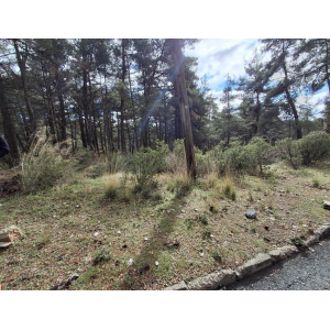 <a href='https://www.spitilemesos.com/view-property/en/5207__land__plot_for_sale/'>View Property</a>