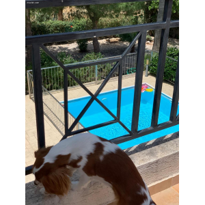 <a href='https://www.spitilemesos.com/view-property/en/5235_central-one__up_motorwayfrom_polemidia_to_germasogeia_house__villa_for_sale/'>View Property</a>